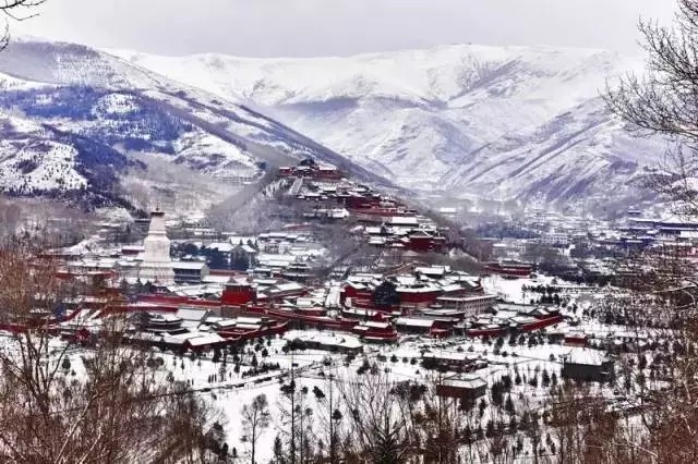 山西榴莲视频污污污在线观看赴佛教圣地五台山为您祈福